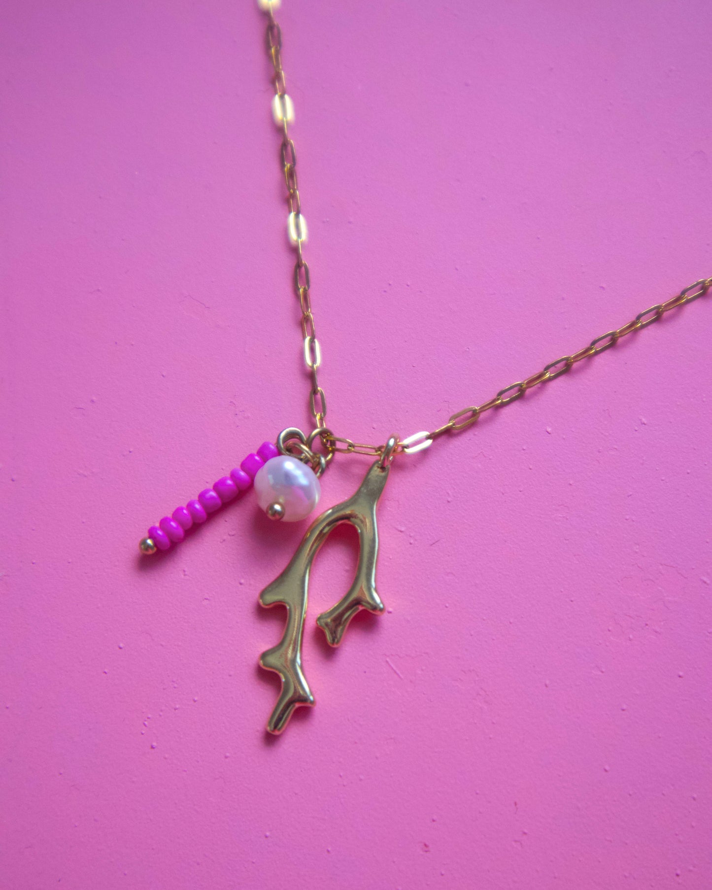 Coral Chain