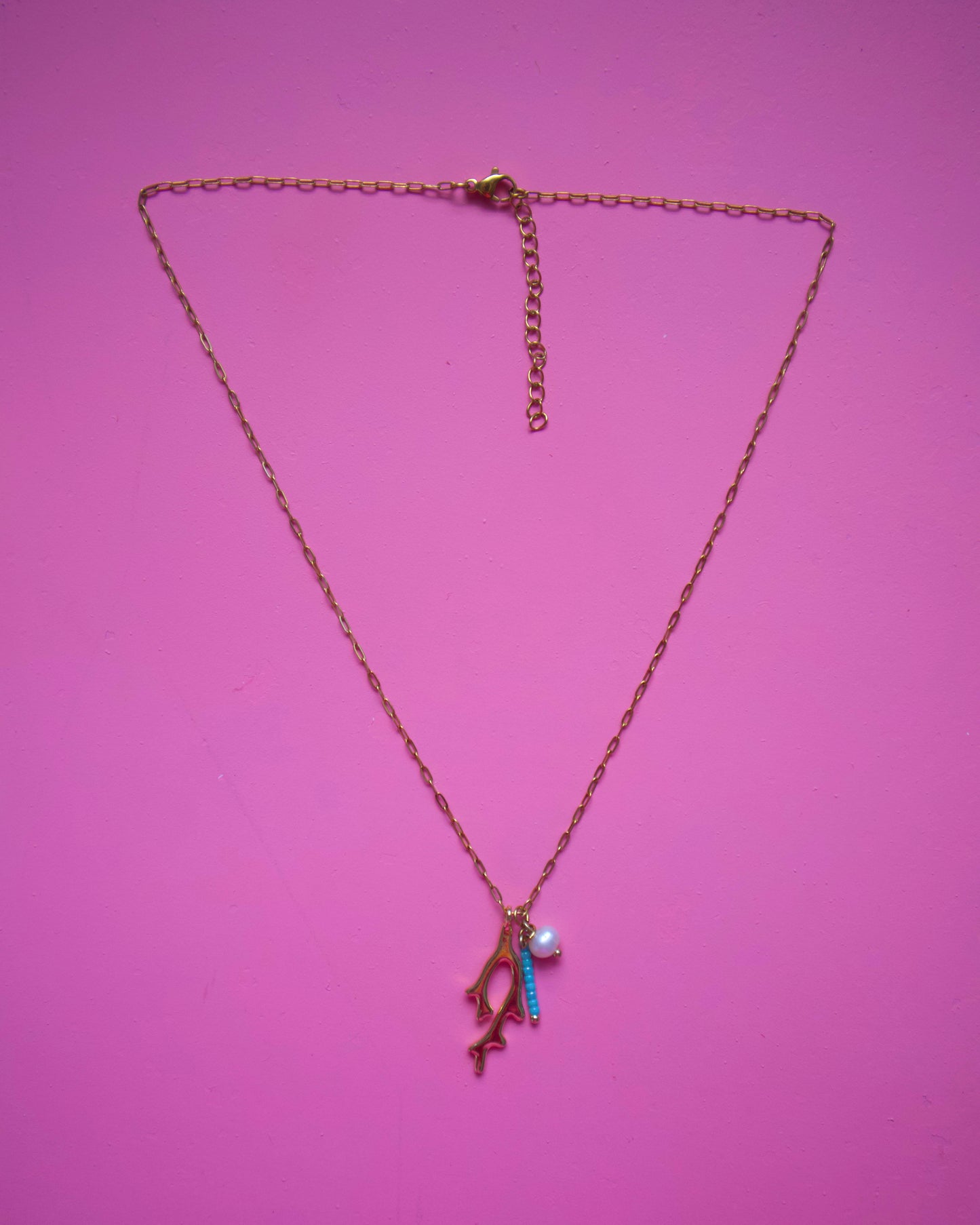 Coral Chain