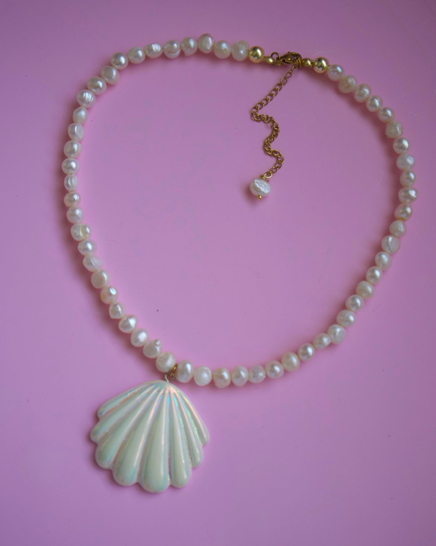 Ariel Shell