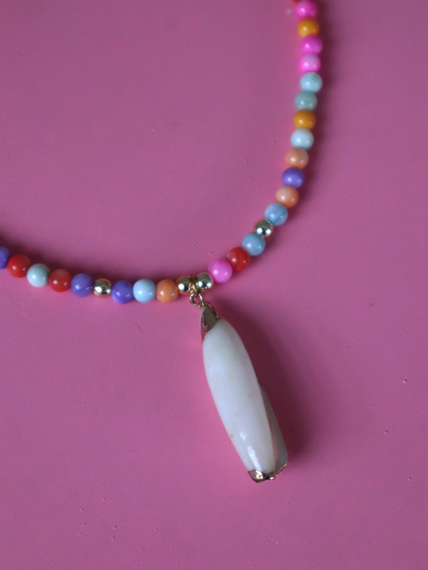 Colorfull Sea Shell