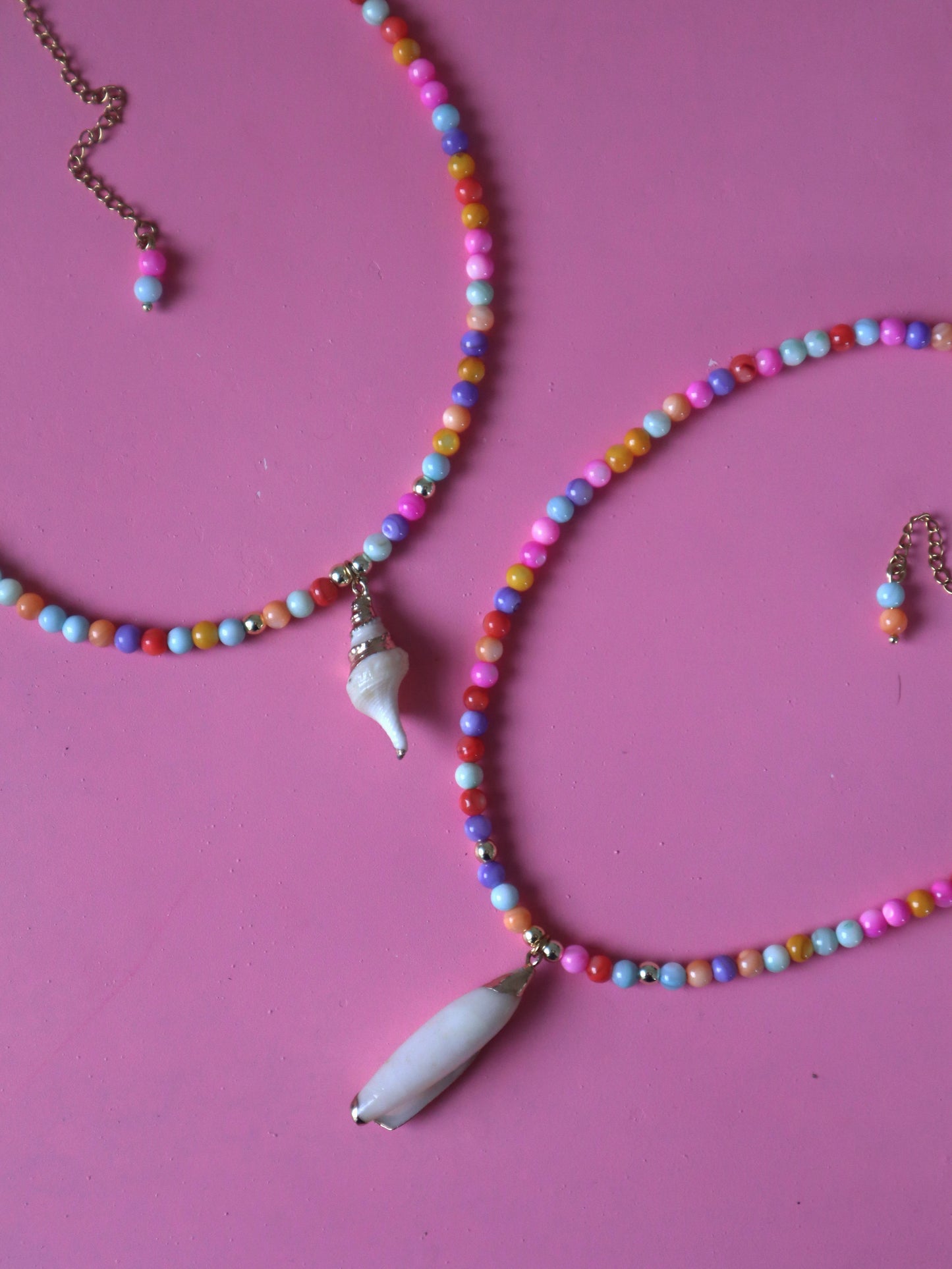 Colorfull Sea Shell
