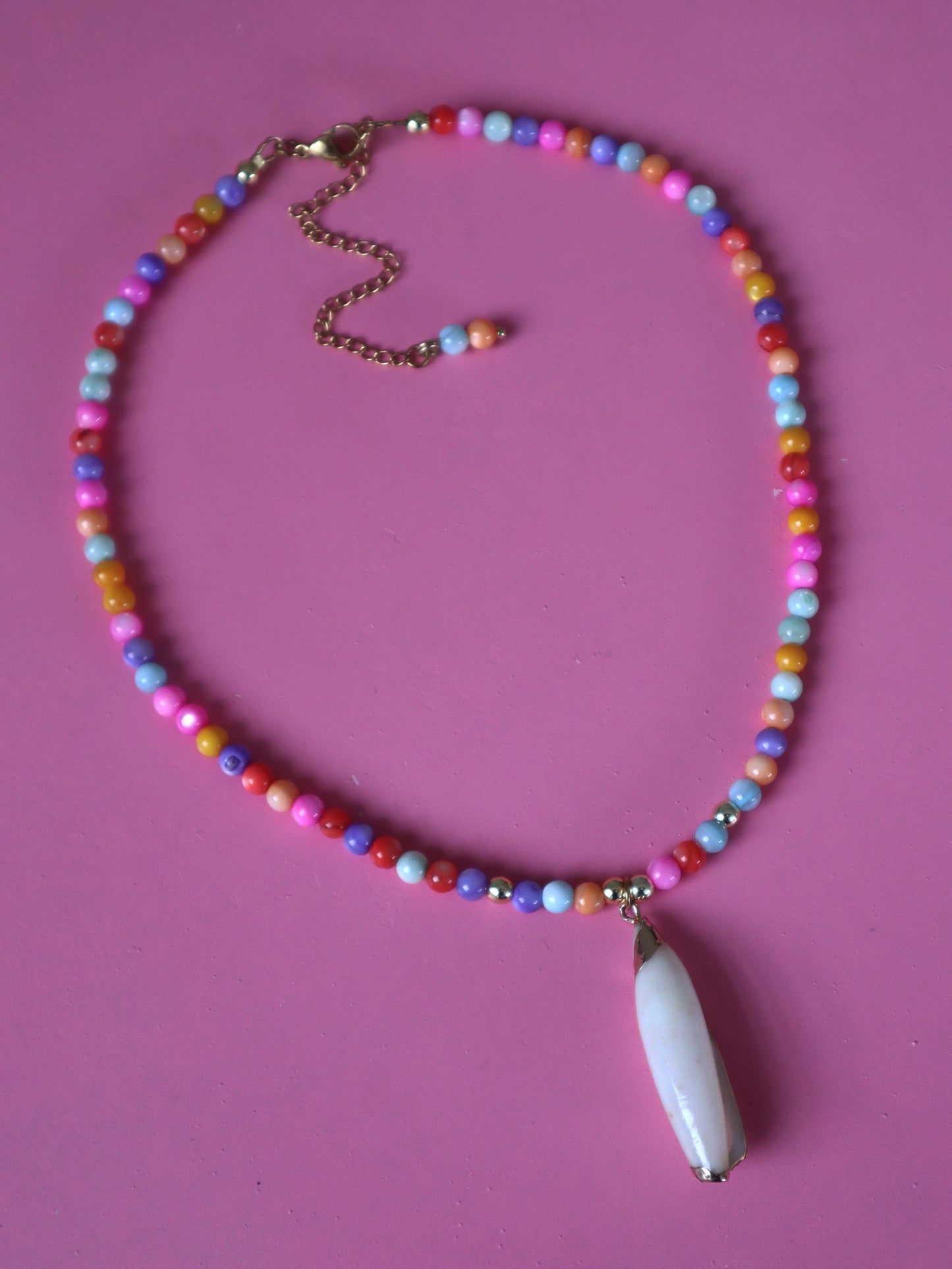 Colorfull Sea Shell