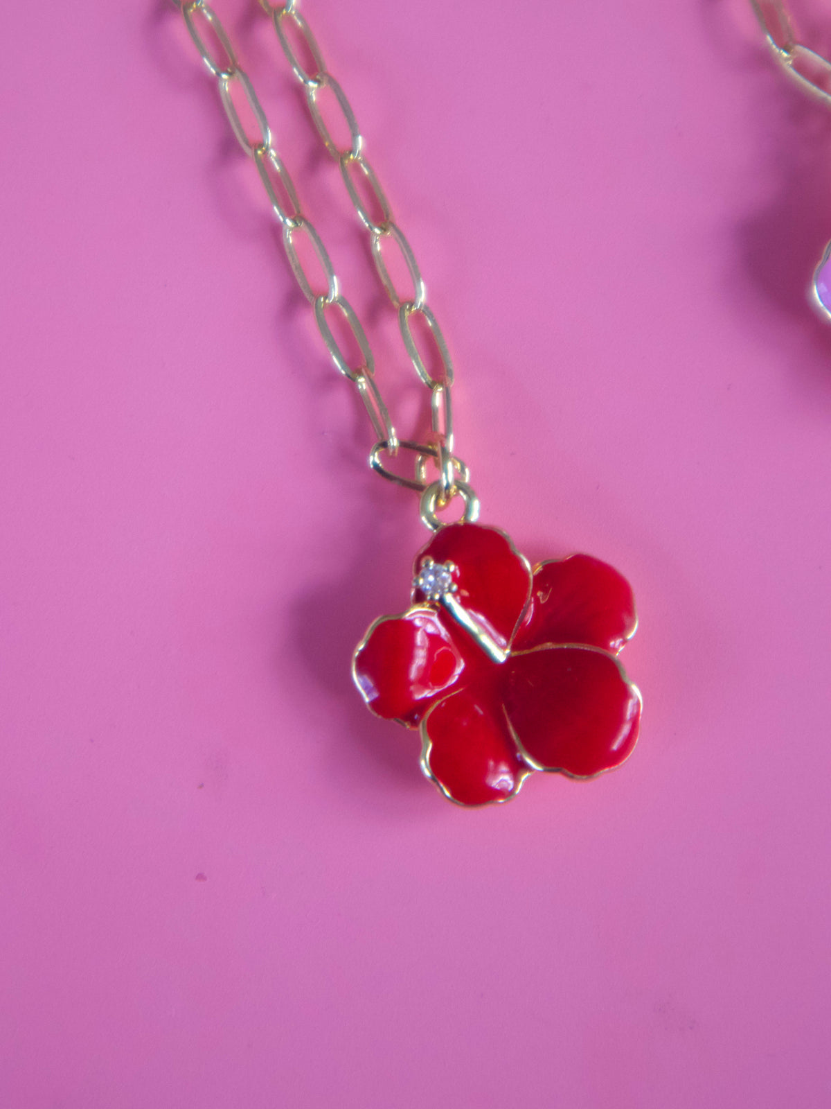 Polita Chain