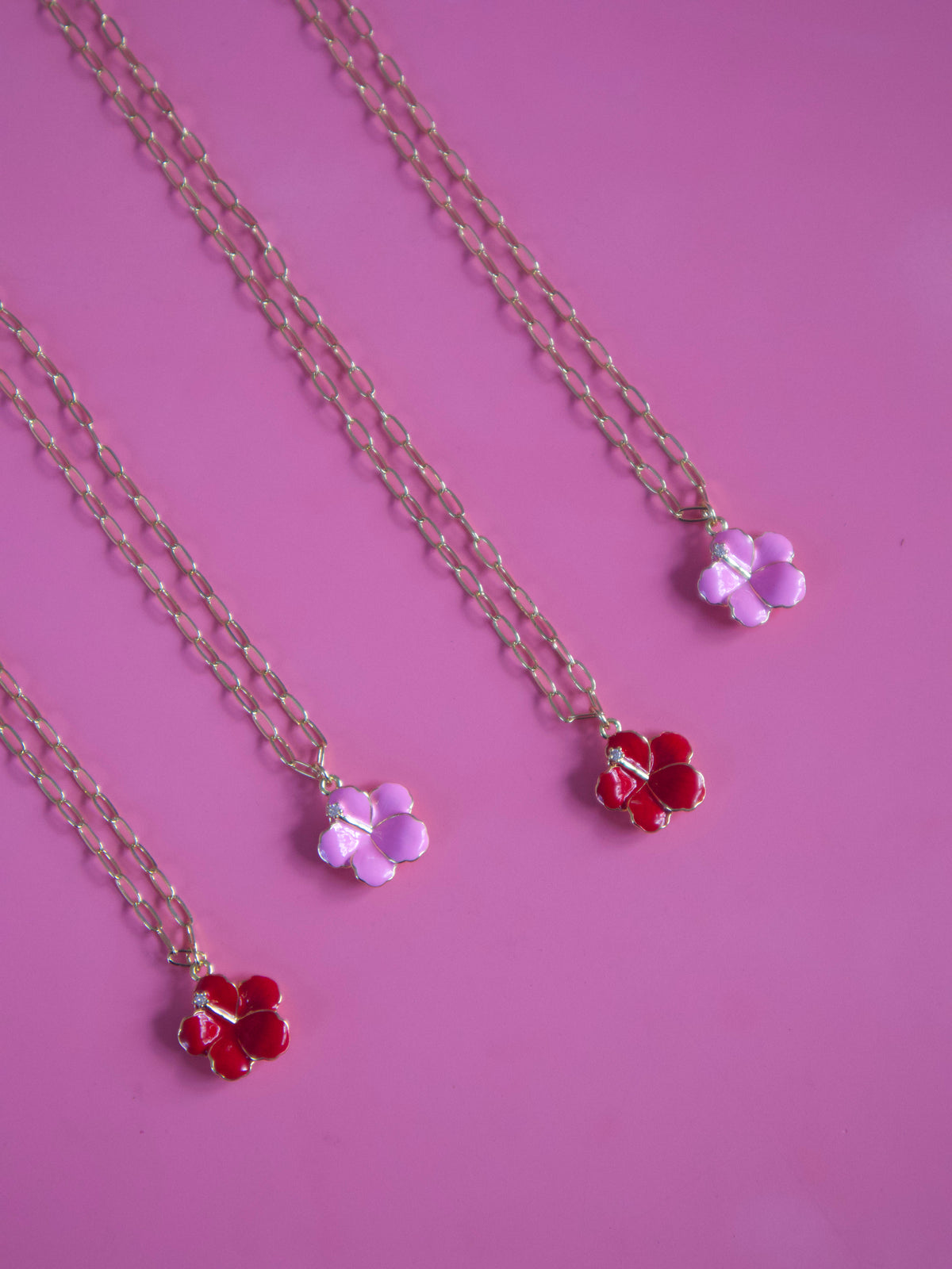 Polita Chain