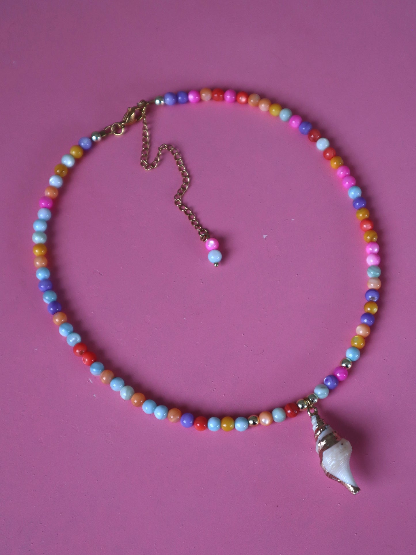 Colorfull Sea Shell
